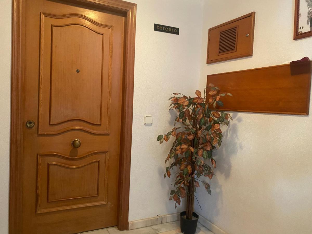 Appartement Homely Mar 3 *